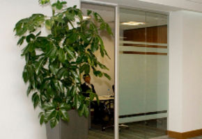 Перегородки и двери NAYADA в офисе компании Сумитомо корпорейшен