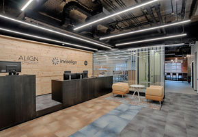 Офис как высокоэффективная рабочая среда: NAYАDA для Align Technology