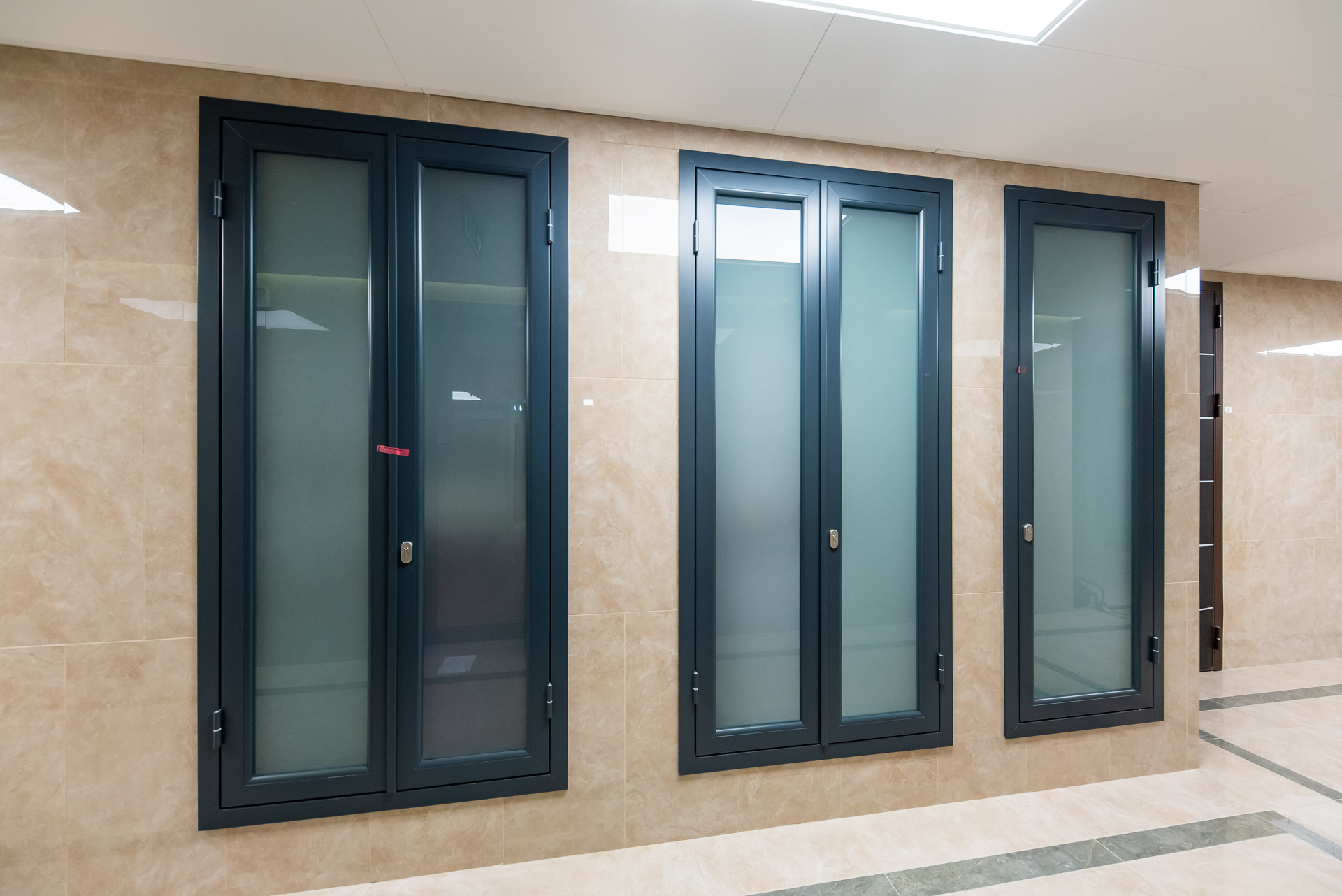 Стеклянные двери NAYADA Vitrage I с одинарным остеклением закаленным стеклом толщиной 5 мм.