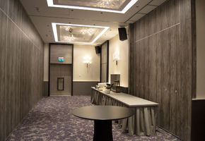Раздвижные перегородки в проекте Компания NAYADA приняла участие в оформлении конференц-зала отеля Radisson Blu.