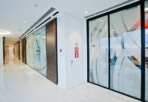 Двери Intero N в проекте Офис компании CMS