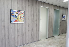 Облицовка панелями NAYADA-Regina в проекте Перегородки Nayada в офисе Бона Фиде Групп