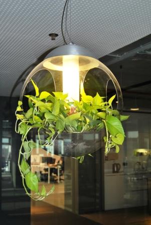 Цельностеклянные перегородки в новом офисе транспортной компании &laquo;МОНОПОЛИЯ&raquo;