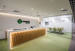 Деревья и лесные виды: NAYADA для офиса Segezha Group