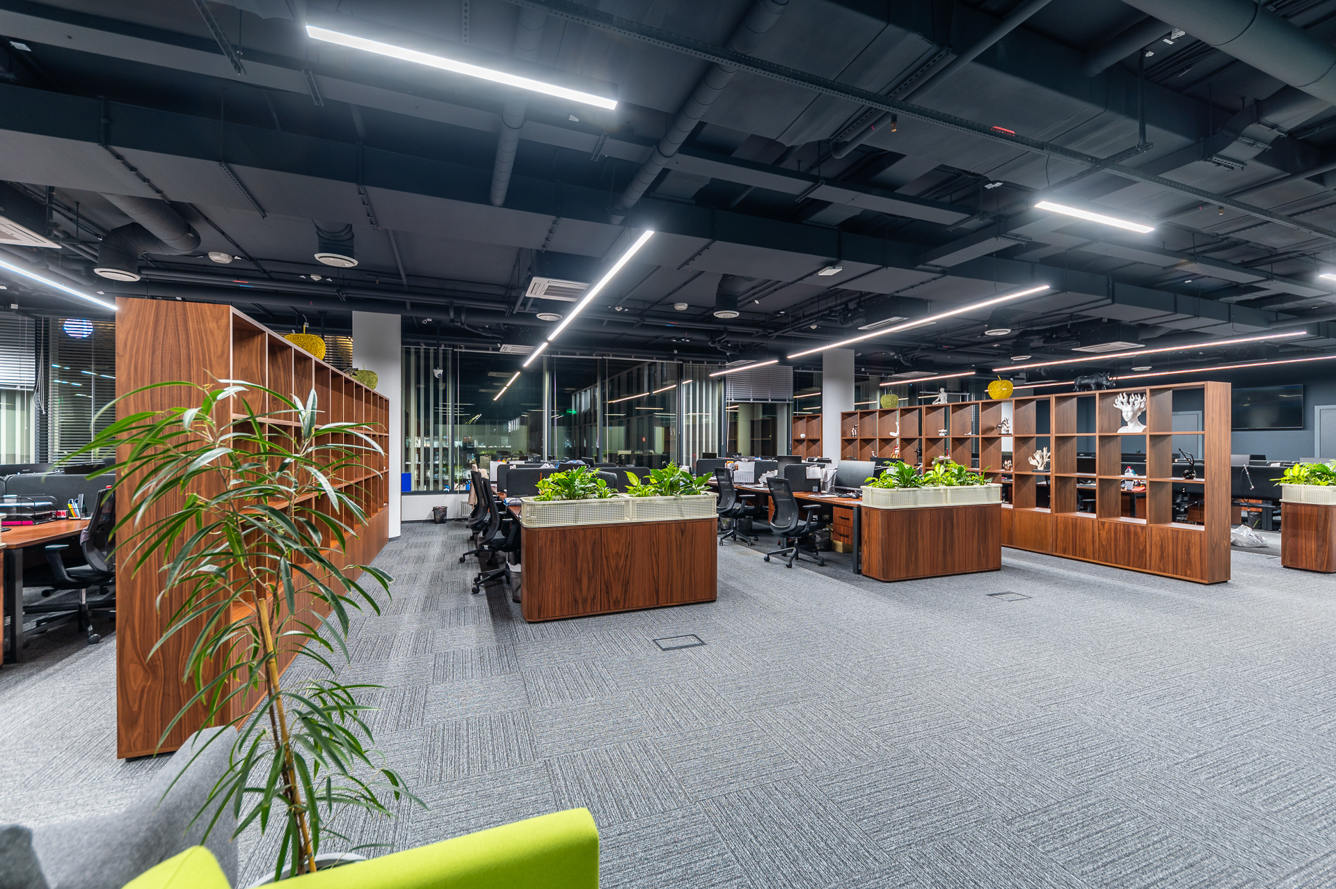 Фото проекта: Ультра Фиш. Изображение № 1