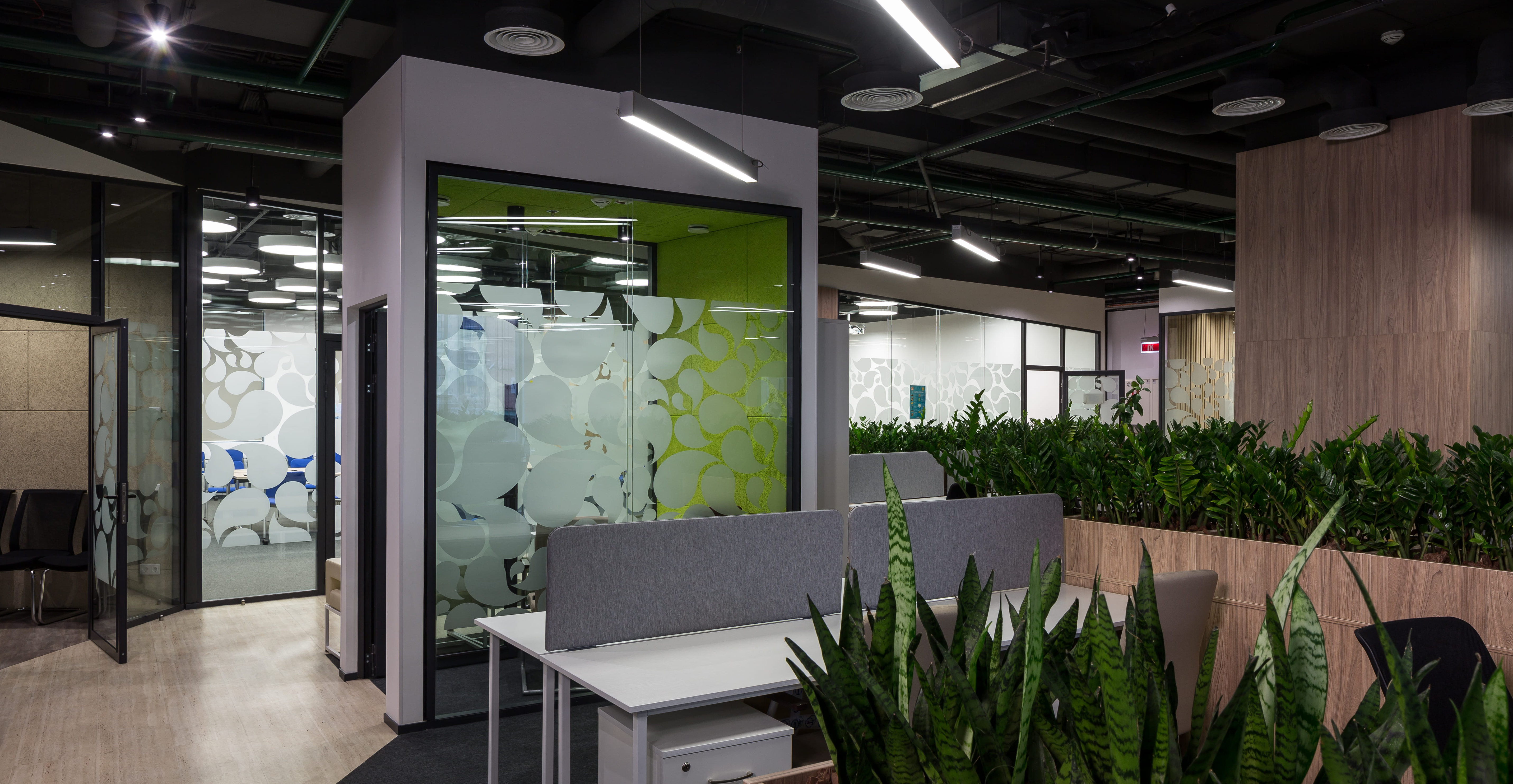 Фото проекта: ДЕНЗА. Изображение № 1