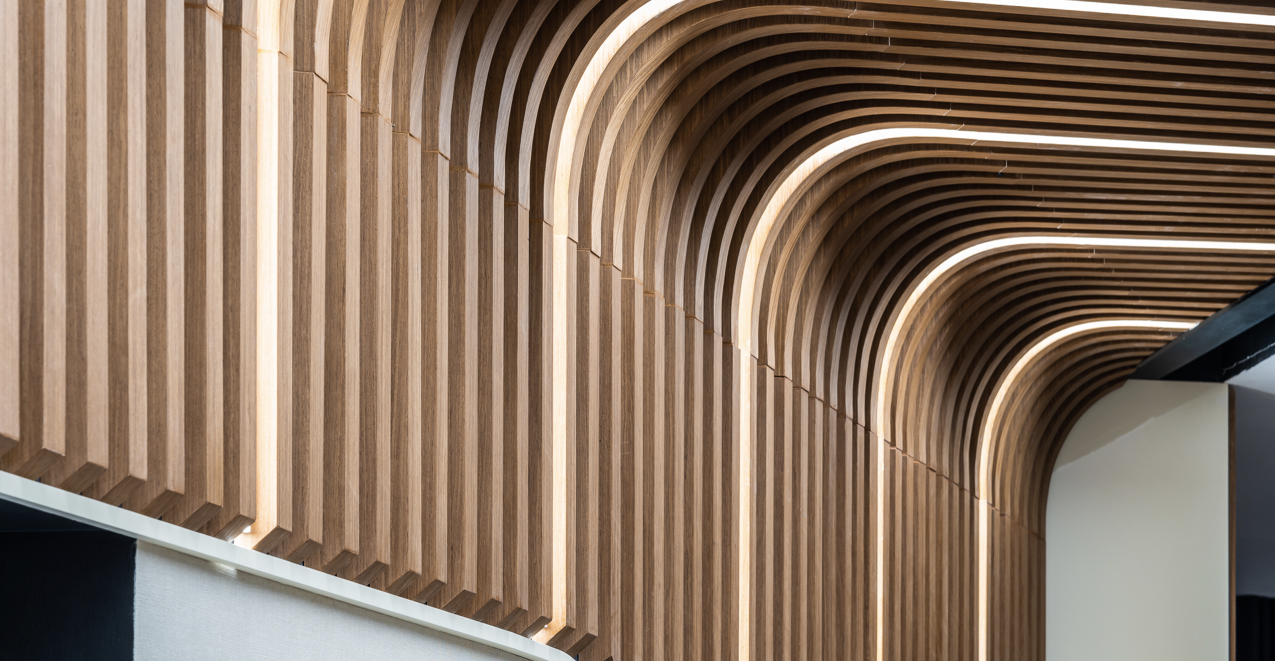 Фото проекта: Проект Live Арена. Изображение № 11